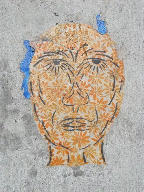 Todd Hanson Floral Face