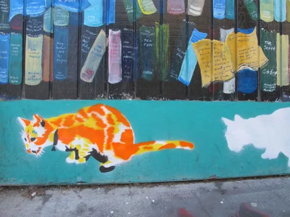 Todd Hanson orange cat