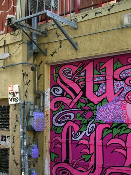 CAB Lilac Alley Ants