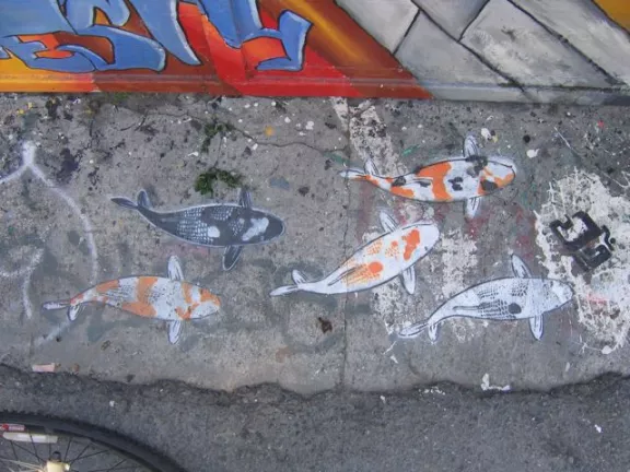 Jeremy Novy Clarion Alley Koi 01