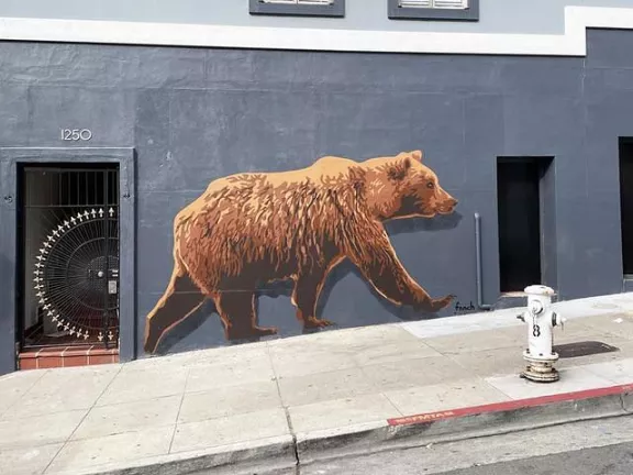 fnnch California Bear SF