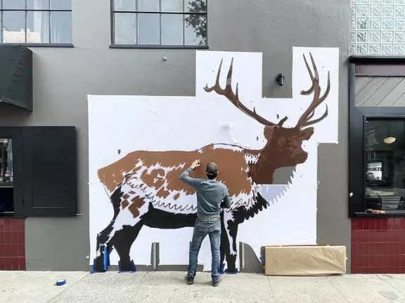 fnnch Elk Mural in progress Cole Valley SF