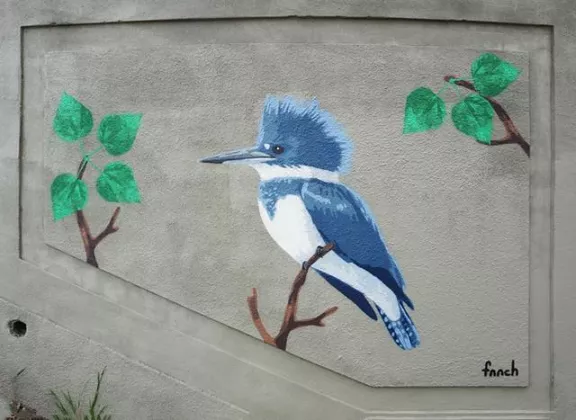 fnnch Jungle Stairs belted kingfisher