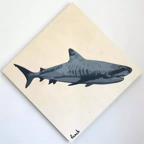 fnnch shark on canvas