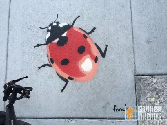 fnnch ladybug