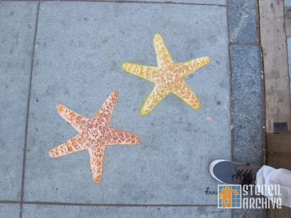 fnnch sea stars