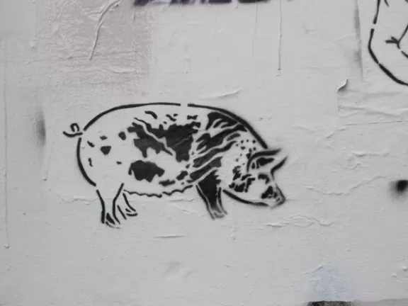 Jeremy Novy Lower haight pig