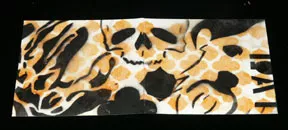 RSLCDcover02