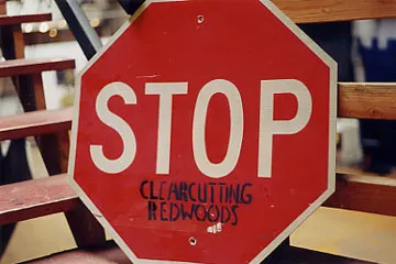 RSL STOP Clearcutting Redwoods