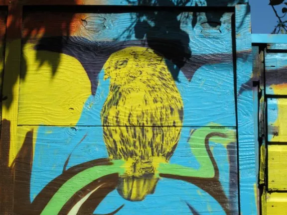 Sasquatch owl SFMission 02