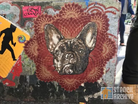 SF Clarion Alley dog wheat paste