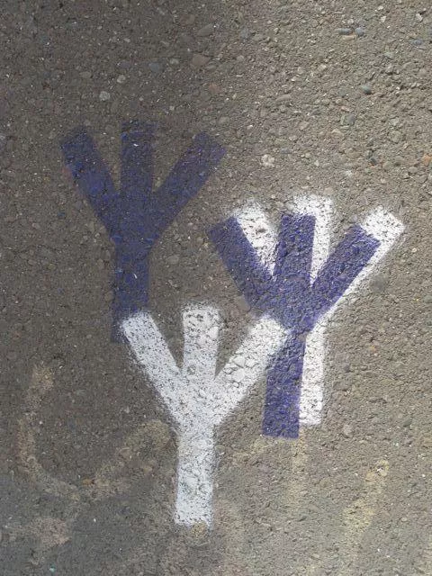 SF Clarion Alley Fascist New Alliance