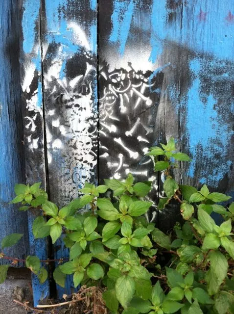 SF Clarion Alley bones