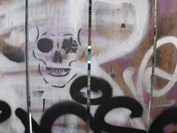 SF Clarion Alley skull with petals
