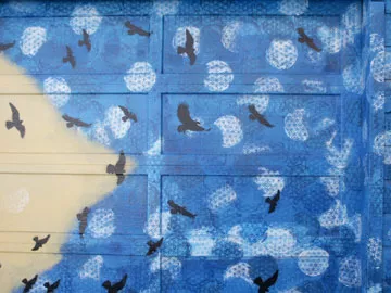 SF Clarion Alley birds and patterns mural