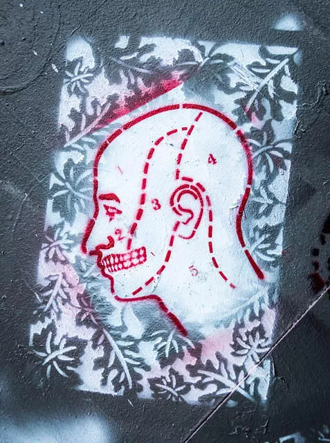 SF Clarion Alley diagram face