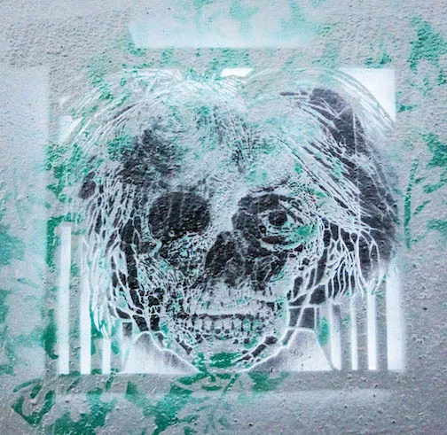 SF Clarion Alley skull andy warhol