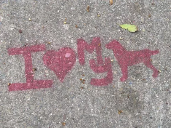 SF Divisadero I <3 my dog