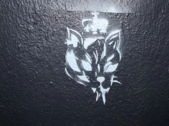 SF Divisadero cat king