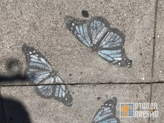 SF Lower Haight monarch butterflies