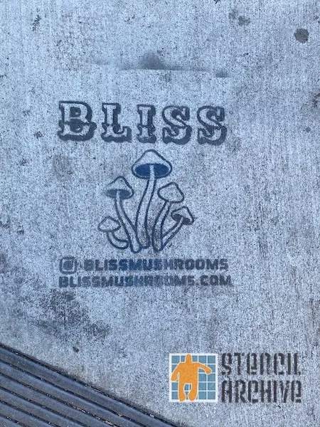 SF Upper Haight BLISS advert