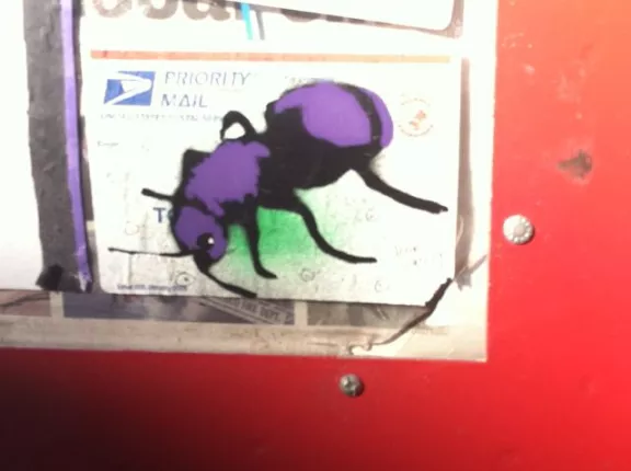 SF Upper Haight ant sticker