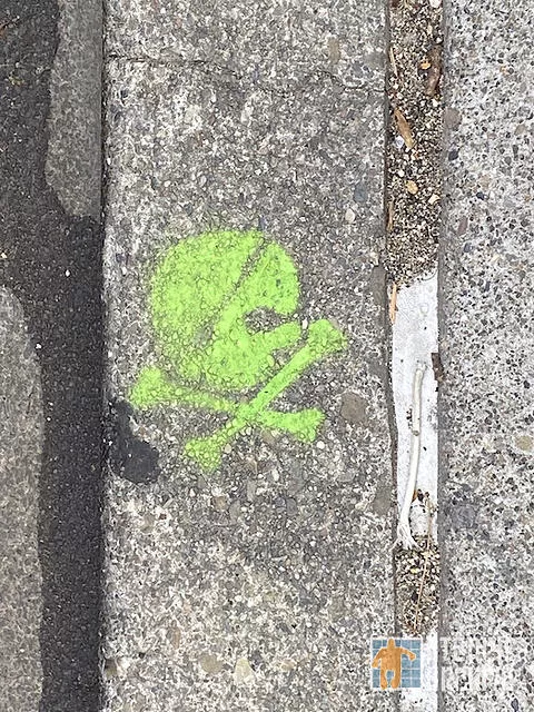 SF Upper Haight skull crossbones