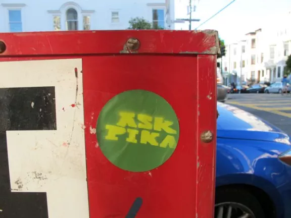 SF Upper Haight Ask Pika Sticker