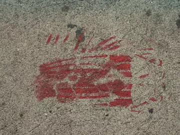 SF Haight Roach