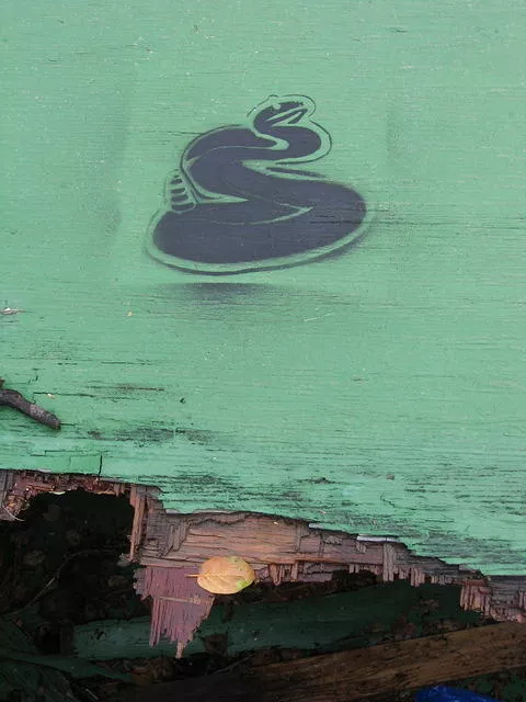 SF Cole Valley Snake