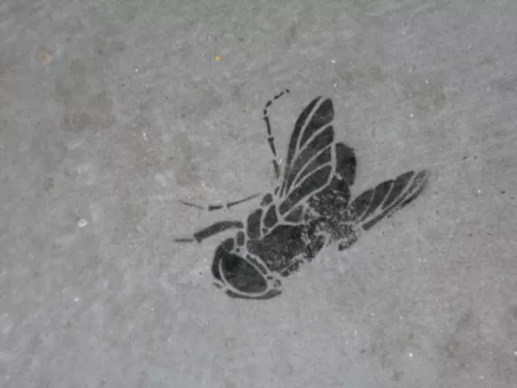 SF Lower Haight Fly