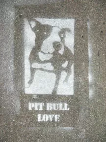 SF Lower Haight Pit Bull Love