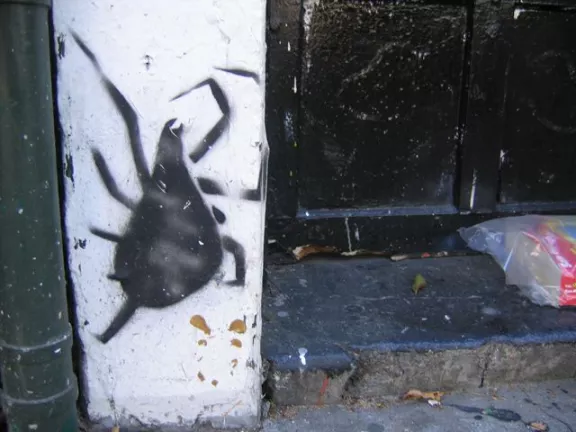 SF Upper Haight Big Spider
