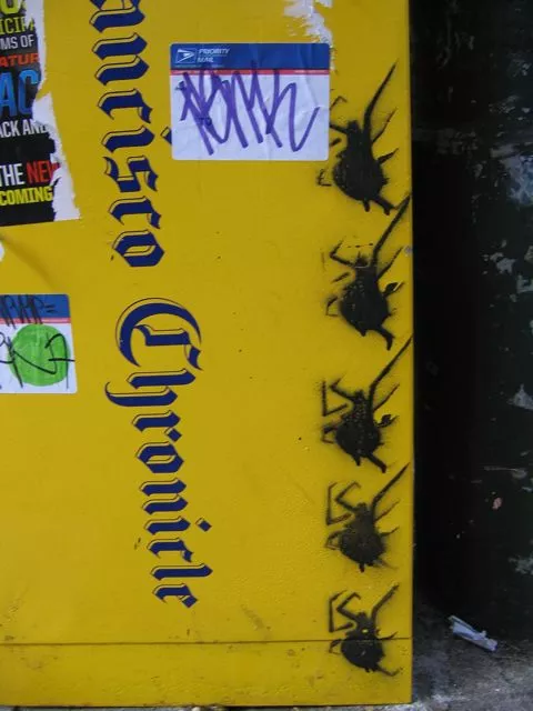 SF Upper Haight Spiders