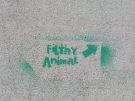 SF Divisadero Filthy Animal