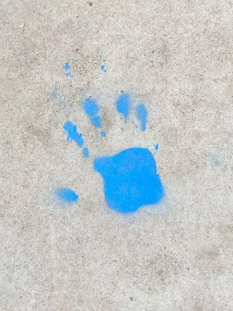 SF Upper Haight blue hand