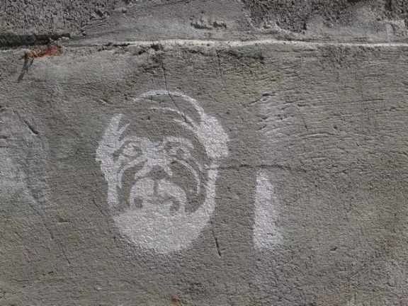 SF Precita Park bearded face
