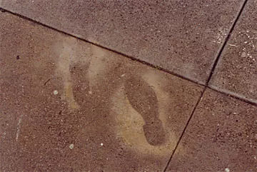 SF Other shoe outline