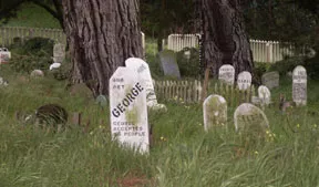 SF Presidio Pet Cemetery 02