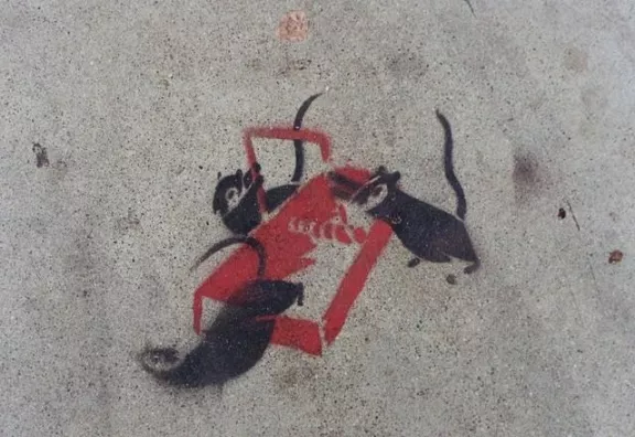 SF Mission 20th St. at Florida 2000 mice breaking trap