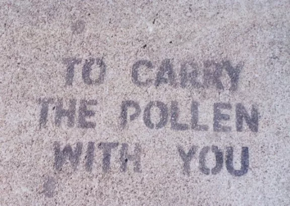 SF Castro c. 2000 to carry pollen