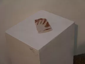 Walls27