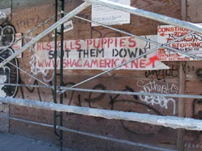 SF Mission Kills Puppies