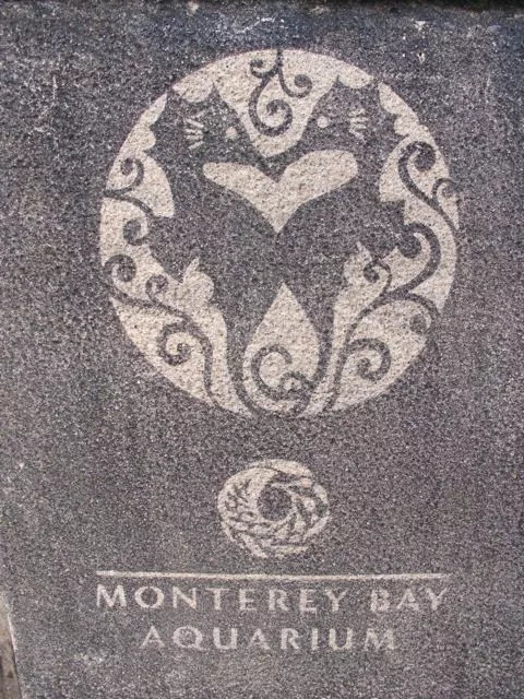 SF misc greenworks ADVERT detail 01