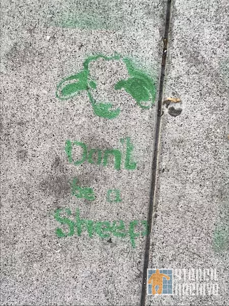 SF Financial District Don't be a Sheep