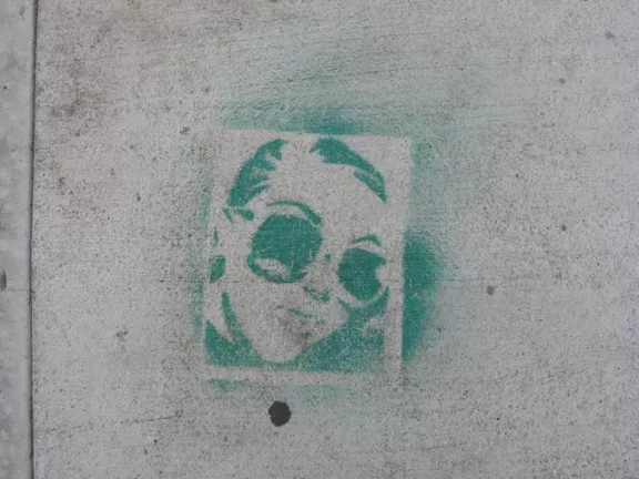 SF SoMa Green Shades