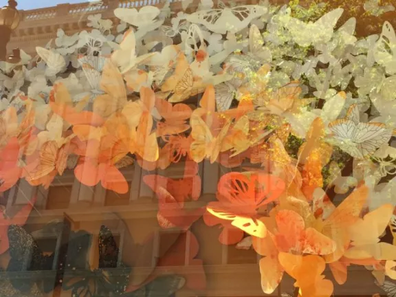 SF Market butterflies cut paper