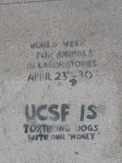 SF Ocean Beach UCSF tortures
