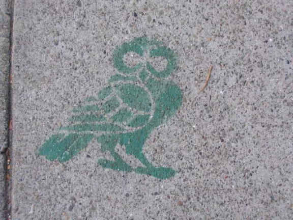 SF Panhandle Owl