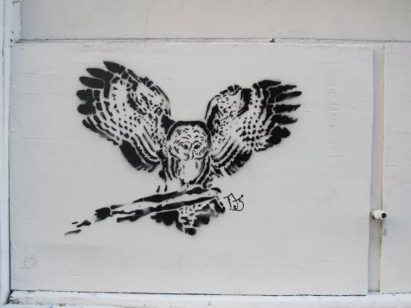 SF Polk St. Fern DJ owl